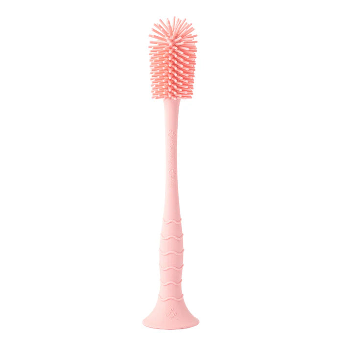 Pink bottle brush with textured head on a white background