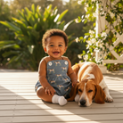 Hound Dog on Porch